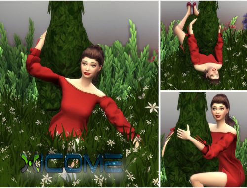 Llama Time - Pose Pack #1