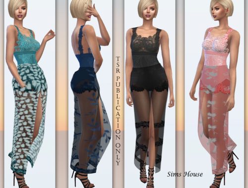 Long dress with a transparent skirt and a slit in the front