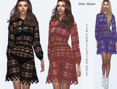 Long sleeve lace dress