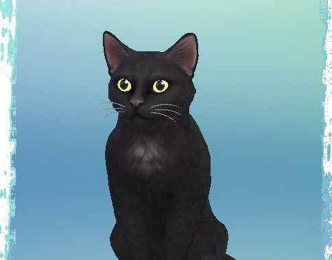 Luna Melodrama with Mikesch cat at All 4 Sims