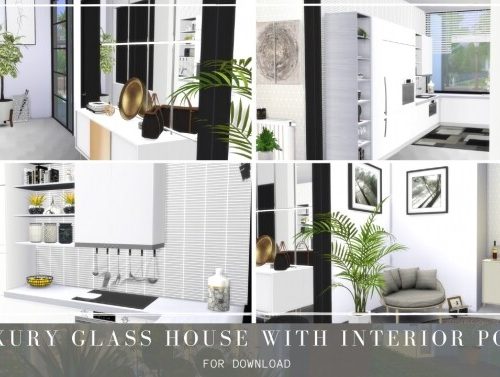 LUXURY GLASS HOUSE WITH INSIDE POOL at Dinha Gamer