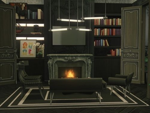 Luxury Parisian Apartment at Harrie