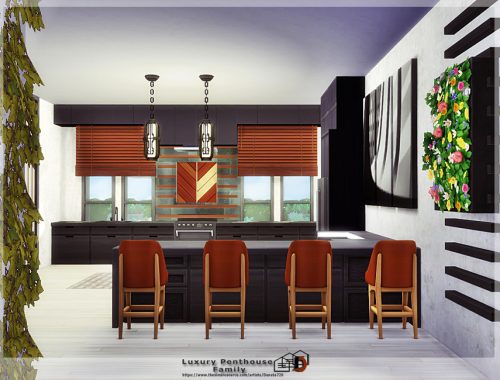 Luxury Penthouse Family