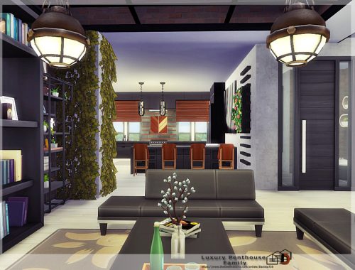 Luxury Penthouse Family