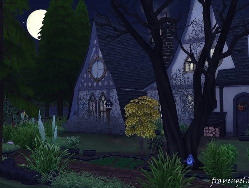 Magic House at Frau Engel