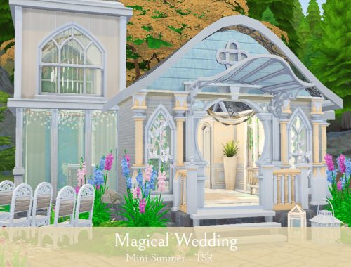 Magical Wedding