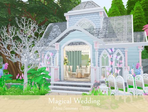 Magical Wedding