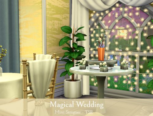 Magical Wedding