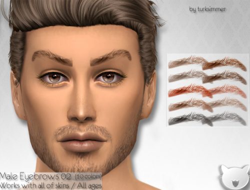 Male Eyebrows 02