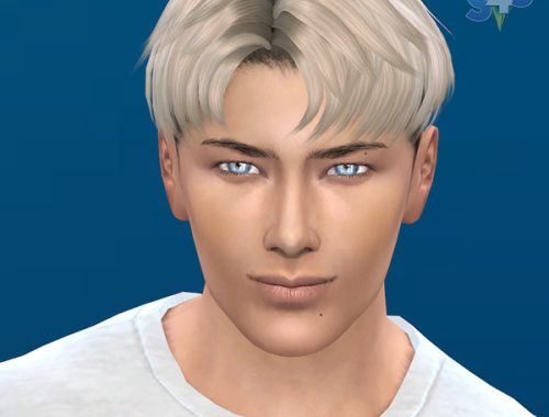 Male Poses #17 at IMHO Sims 4