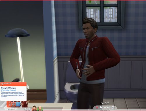 Male Pregnancy Trait