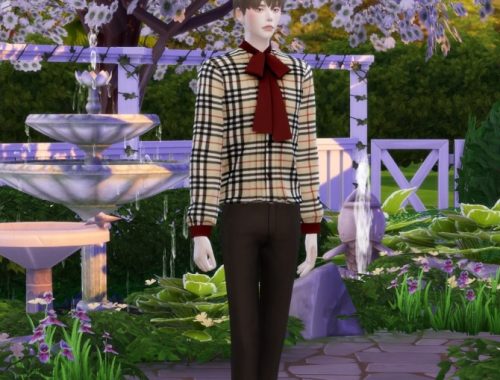 Male ribbon shirt 4 at Chaessi