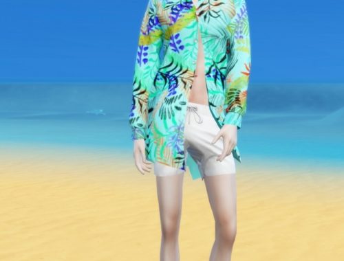 Male shirt 2 at Chaessi