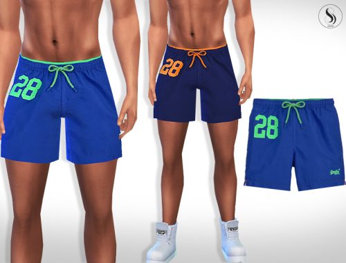 Male Sims Colorful Athletic and Swim Shorts