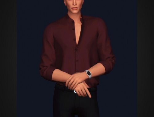 Mandarin Collar Shirt II at Gorilla