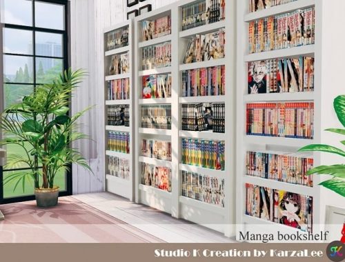 Manga bookshelf set at Studio K-Creation