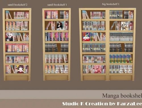 Manga bookshelf set at Studio K-Creation