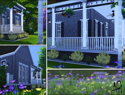 Manor House (Base Game)