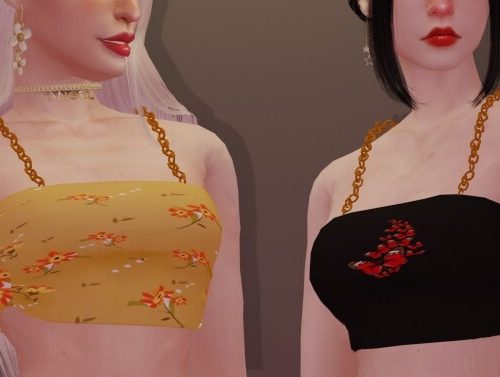 Marie Top at Clarity Sims