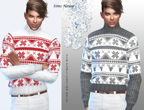 Masculine sweater with a christmas pattern