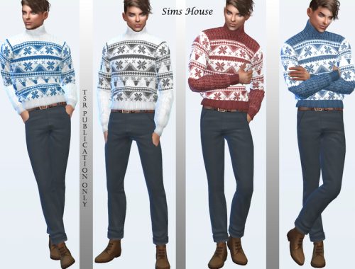Masculine sweater with a christmas pattern