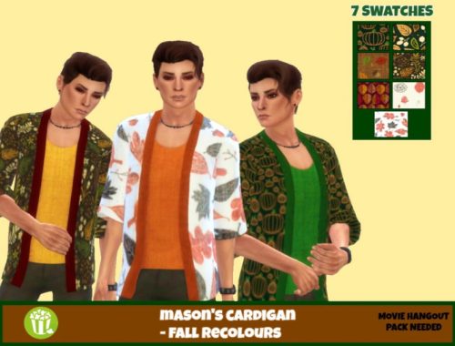 MASON'S CARDIGAN - MOVIE HANGOUT FALL RECOLOUR