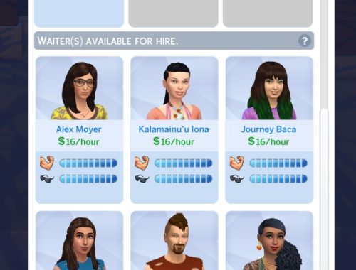 Maxed Skills Restaurant, Retail, Vet by spgm69