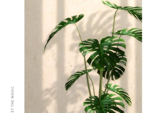 Mega Plant Collection at Sims4Nicole