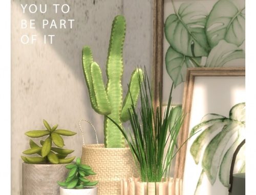 Mega Plant Collection at Sims4Nicole