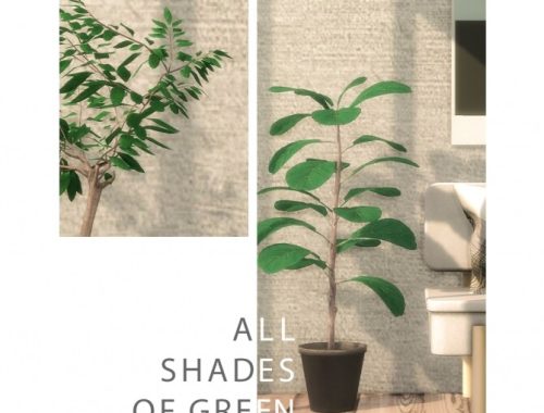 Mega Plant Collection at Sims4Nicole