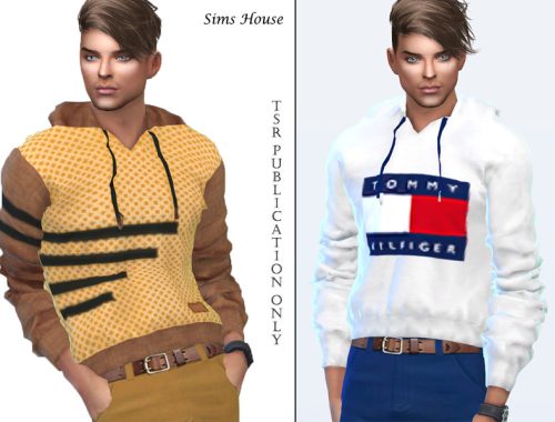 Men's sweater with a hood and print