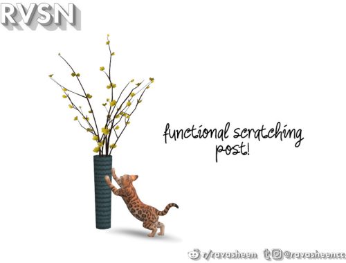 Meow-dern Cat Set