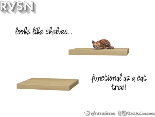 Meow-dern Cat Set