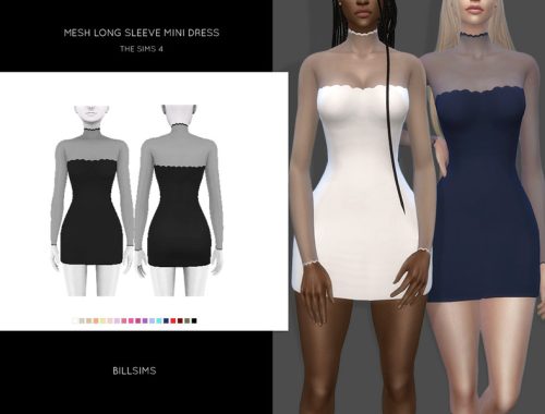 Mesh Long Sleeve Mini Dress