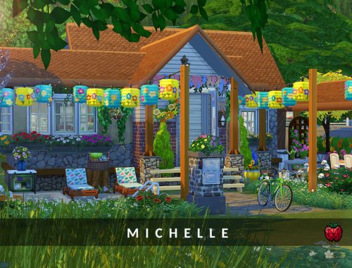 Michelle - tiny home - no cc
