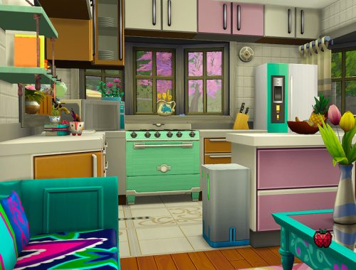 Michelle - tiny home - no cc