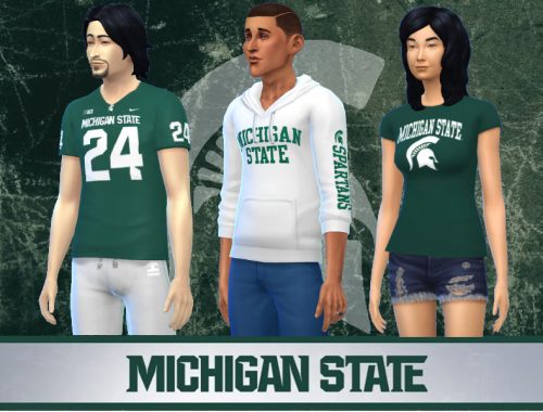 Michigan State Spartans Collection