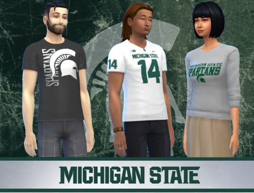 Michigan State Spartans Collection