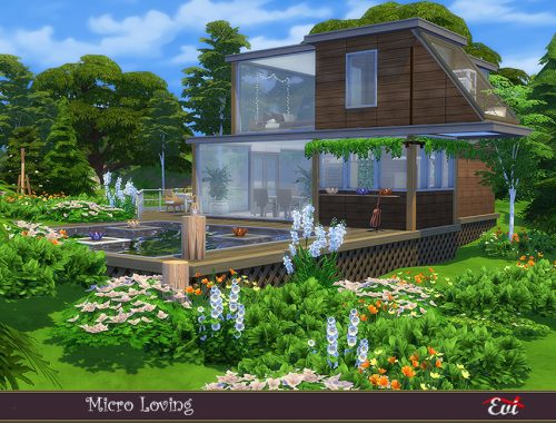 Micro Loving