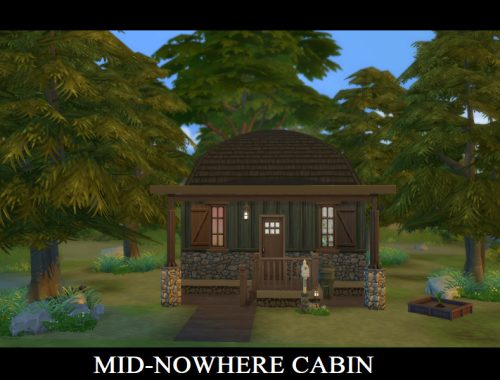 Mid-Nowhere Cabin