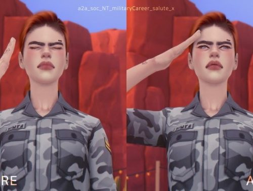 Military Salute Overhaul at Yakfarm