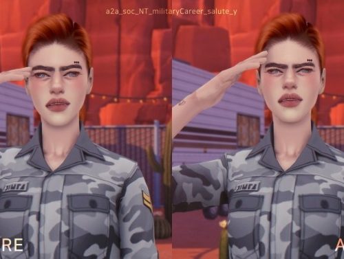 Military Salute Overhaul at Yakfarm