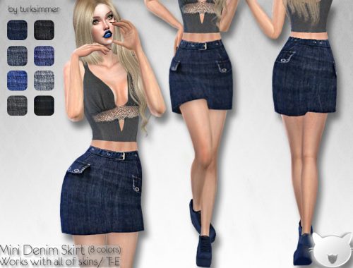 Mini Denim Skirt