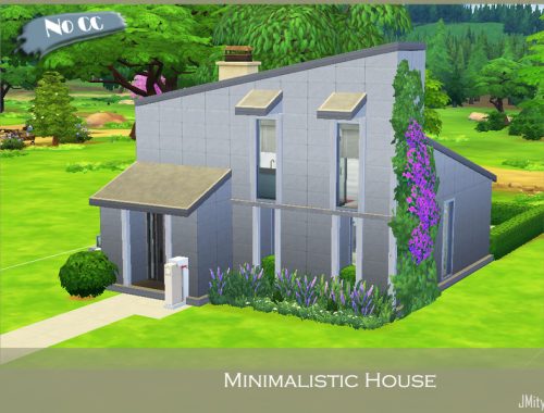 Minimalistic House