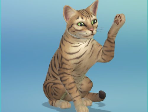 Miss Hartnell and her cat at KyriaT’s Sims 4 World