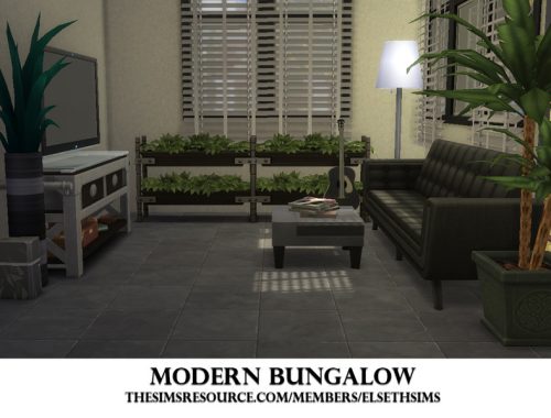 Modern Bungalow