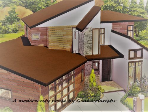 Modern City House