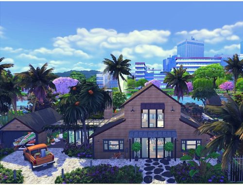 Modern Family Farm