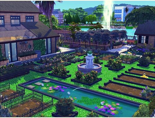 Modern Family Farm