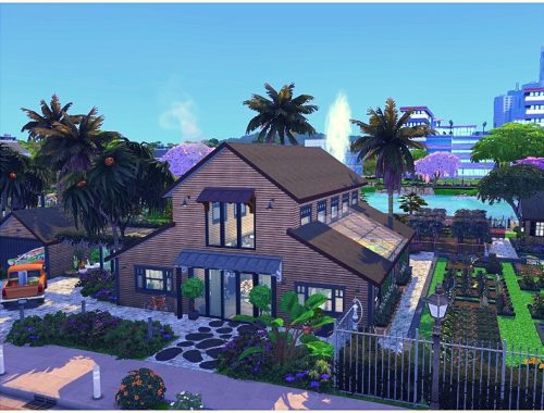 Modern Family Farm